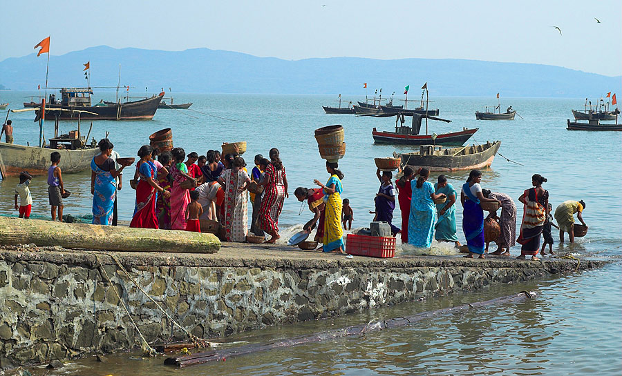 Janjira (Maharashtra) (Indie, Pakistan, Iran 2007, część pierwsza)